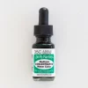 Brush^Dr. Ph. Martins Radiant Concentrated 35C Jungle Green - Little Painter Art | Exploring the Endless Possibilities of Art