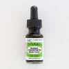 Brush^Dr. Ph. Martins Radiant Concentrated 34C Chartreuse - Little Painter Art | Exploring the Endless Possibilities of Art