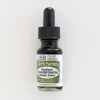 Brush^Dr. Ph. Martins Radiant Concentrated 25B Olive Green - Little Painter Art | Exploring the Endless Possibilities of Art