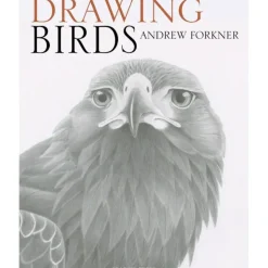 Shop All^Drawing Birds - A. Forkner - Little Painter Art | Exploring the Endless Possibilities of Art