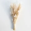 Shop All^Droogbloemen - Little Painter Art | Exploring the Endless Possibilities of Art