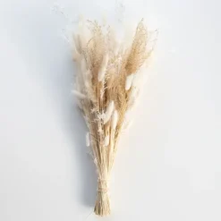 Shop All^Droogbloemen - Little Painter Art | Exploring the Endless Possibilities of Art