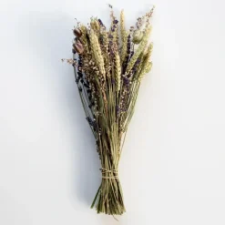 Shop All^Droogbloemen Gekleurd - Little Painter Art | Exploring the Endless Possibilities of Art