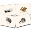 Hot^Earth Sky + Water Notecards 8pk - Small Mammals - Little Painter Art | Exploring the Endless Possibilities of Art