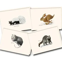 Hot^Earth Sky + Water Notecards 8pk - Small Mammals - Little Painter Art | Exploring the Endless Possibilities of Art