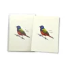 Hot^Earth Sky + Water Notecards 8pk - Painted Bunting - Little Painter Art | Exploring the Endless Possibilities of Art