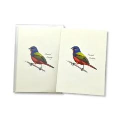 Hot^Earth Sky + Water Notecards 8pk - Painted Bunting - Little Painter Art | Exploring the Endless Possibilities of Art