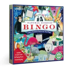Hot^eeBoo Earth Science Bingo - Little Painter Art | Exploring the Endless Possibilities of Art