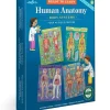 Hot^eeBoo Ready to Learn - Human Anatomy 4-Puzzle 48pc Set - Little Painter Art | Exploring the Endless Possibilities of Art