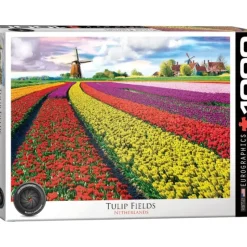 Hot^Eurographics 1000pc Puzzle - Netherlands Tulip Field - Little Painter Art | Exploring the Endless Possibilities of Art