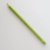 Faber-Castell Polychromos 170 May Green - Little Painter Art | Exploring the Endless Possibilities of Art| Pigment