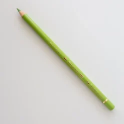 Faber-Castell Polychromos 170 May Green - Little Painter Art | Exploring the Endless Possibilities of Art| Pigment