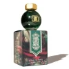 Hot^Ferris Wheel Press Bottled Ink - 20ml Cloak & Forest - Little Painter Art | Exploring the Endless Possibilities of Art