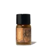 Shop All^Ferris Wheel Press Bottled Ink - 10ml Russet Typecase - Little Painter Art | Exploring the Endless Possibilities of Art