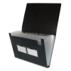 Shop All^Filexec Poly Expanding File 13 Pockets Letter Size Black - Little Painter Art | Exploring the Endless Possibilities of Art