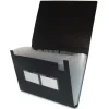 Shop All^Filexec Poly Expanding File 13 Pockets Legal Size Black - Little Painter Art | Exploring the Endless Possibilities of Art