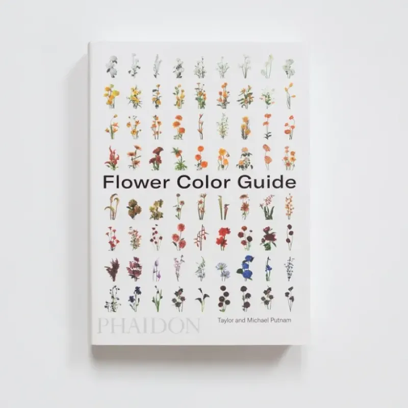 Shop All^Flower Color Guide by Taylor and Michael Putnam - Little Painter Art | Exploring the Endless Possibilities of Art