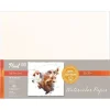 Shop All^Fluid100 Cold Press Watercolour Paper 3pk 22x30" 300lb - Little Painter Art | Exploring the Endless Possibilities of Art