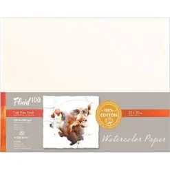 Shop All^Fluid100 Cold Press Watercolour Paper 3pk 22x30" 300lb - Little Painter Art | Exploring the Endless Possibilities of Art