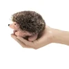 Shop All^Folkmanis Finger Puppet - Brown Hedgehog - Little Painter Art | Exploring the Endless Possibilities of Art