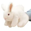 Shop All^Folkmanis Hand Puppet - White Bunny - Little Painter Art | Exploring the Endless Possibilities of Art