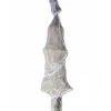 Shop All^Forum Novelties Hanging Cocoon Skeleton 72" - Little Painter Art | Exploring the Endless Possibilities of Art