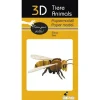 Shop All^Fridolin 3D Paper Model - Bee - Little Painter Art | Exploring the Endless Possibilities of Art