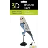 Shop All^Fridolin 3D Paper Model - Budgie - Little Painter Art | Exploring the Endless Possibilities of Art