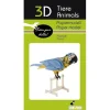 Shop All^Fridolin 3D Paper Model - Parrot - Little Painter Art | Exploring the Endless Possibilities of Art