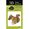 Shop All^Fridolin 3D Paper Model - Squirrel - Little Painter Art | Exploring the Endless Possibilities of Art