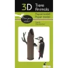 Hot^Fridolin 3D Paper Model - Woodpecker - Little Painter Art | Exploring the Endless Possibilities of Art
