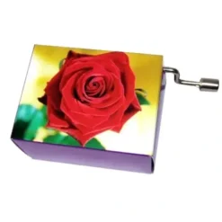 Shop All^Fridolin Music Box - Happy Birthday, Rose - Little Painter Art | Exploring the Endless Possibilities of Art