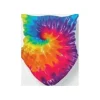 Shop All^Gaiter Face Mask Youth-Sized - Rainbow Tie Dye - Little Painter Art | Exploring the Endless Possibilities of Art