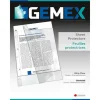 Gemex Sheet Protectors - Letter Size, Ultra-Clear - Little Painter Art | Exploring the Endless Possibilities of Art| Shop All