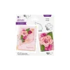 Shop All^Gemini Spring Flower Forming Die - Regal Rose - Little Painter Art | Exploring the Endless Possibilities of Art
