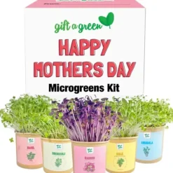 Shop All^Gift-a-Green Microgreen Gift Box - Happy Mother's Day - Little Painter Art | Exploring the Endless Possibilities of Art
