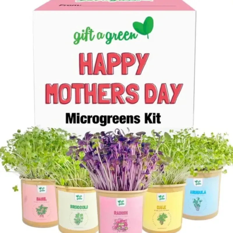 Shop All^Gift-a-Green Microgreen Gift Box - Happy Mother's Day - Little Painter Art | Exploring the Endless Possibilities of Art