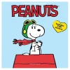 Hot^Graphique 2025 Mini Wall Calendar - Peanuts - Little Painter Art | Exploring the Endless Possibilities of Art