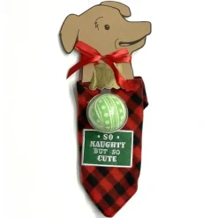 Shop All^Grasslands Road Pet Bandana & Toy Ball Set - Large - Little Painter Art | Exploring the Endless Possibilities of Art