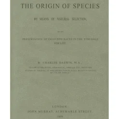 Shop All^Great Literary Notebook - The Origin of Species - Little Painter Art | Exploring the Endless Possibilities of Art