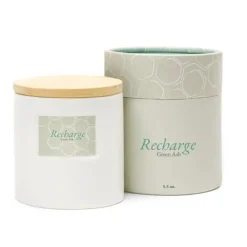 Shop All^Green Ash Decor 5.5oz Candle - Recharge - Little Painter Art | Exploring the Endless Possibilities of Art