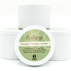 Shop All^Green Ash Decor 4oz Travel Tin Candle - Recharge - Little Painter Art | Exploring the Endless Possibilities of Art
