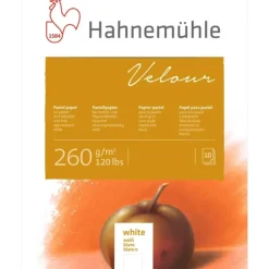 Shop All^Hahnemhle Velour Pastel Pad - 260gsm - 10 Sheets - 30x40cm - Little Painter Art | Exploring the Endless Possibilities of Art