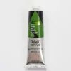 Canvas^Holbein Acrylic Heavy body AU455 Sap Green C 60ml - Little Painter Art | Exploring the Endless Possibilities of Art