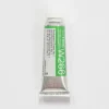 Pigment^Holbein Artists' Watercolor 15ml W266 Permanent Green #1 A - Little Painter Art | Exploring the Endless Possibilities of Art