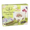 Shop All^House of Crafts - Flower Pressing Kit - Little Painter Art | Exploring the Endless Possibilities of Art