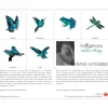 Hot^Indigenous Collection Notecards 12pk - Diane Levesque - Little Painter Art | Exploring the Endless Possibilities of Art