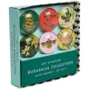 Shop All^Insight Editions Glass Magnet Set - Art of Nature: Botanical - Little Painter Art | Exploring the Endless Possibilities of Art