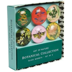Shop All^Insight Editions Glass Magnet Set - Art of Nature: Botanical - Little Painter Art | Exploring the Endless Possibilities of Art