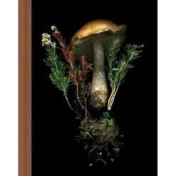 Hot^Julya Hajnoczky Journal Deep Dark Forest - Little Painter Art | Exploring the Endless Possibilities of Art